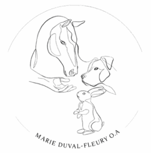Marie Duval-Fleury Ostéopathe animalier