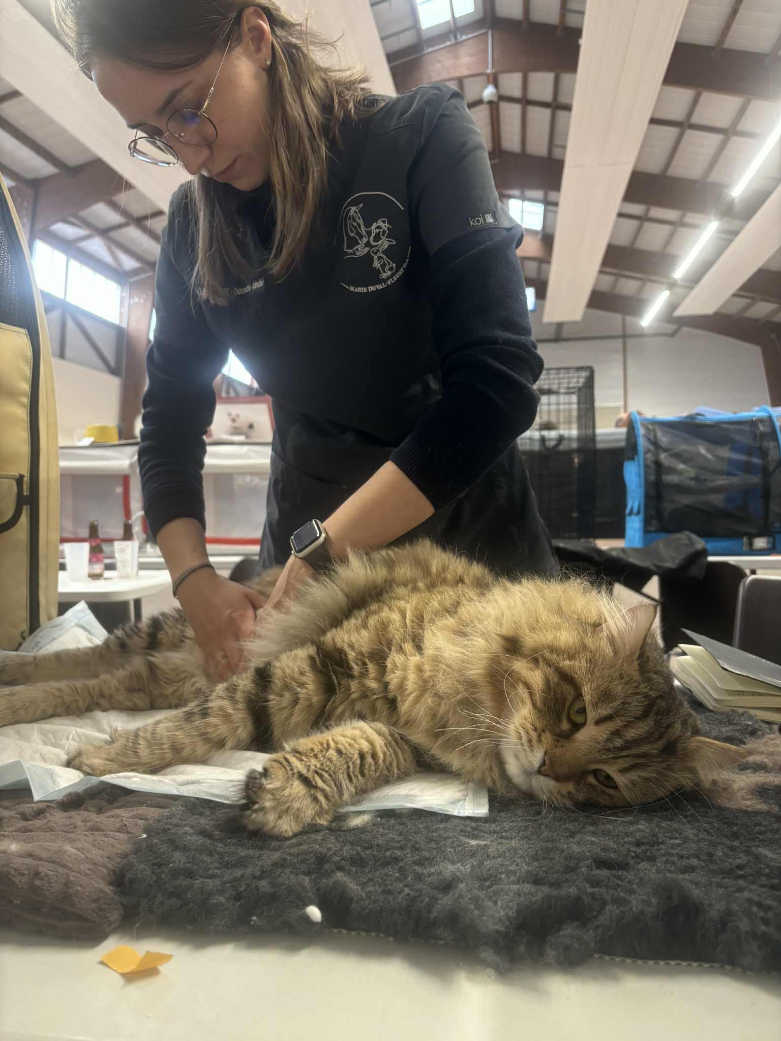 att.7cvygrxRVw-4418p5XYHlSJKBjDU4jpEp-G9fNkJcmk