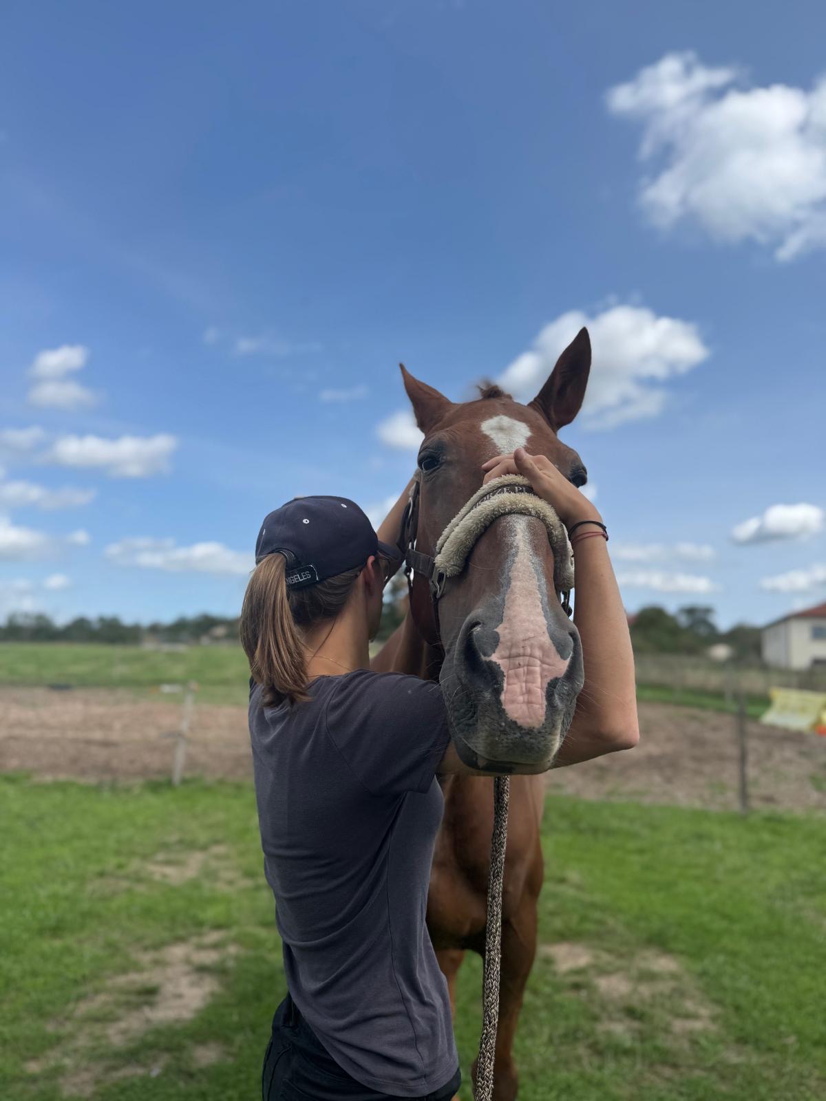 cdd607f0-8e5a-4bca-bd58-bcd78e2727b3